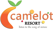 Camelot Logo